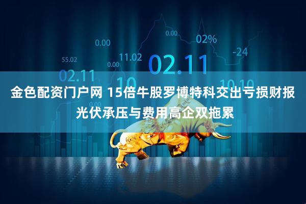 金色配资门户网 15倍牛股罗博特科交出亏损财报 光伏承压与费用高企双拖累
