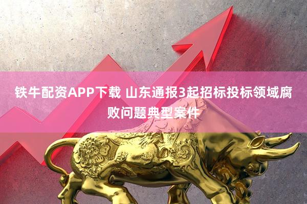 铁牛配资APP下载 山东通报3起招标投标领域腐败问题典型案件
